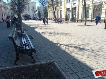 В Ярославле могут ограничить распитие алкоголя на улице Кирова