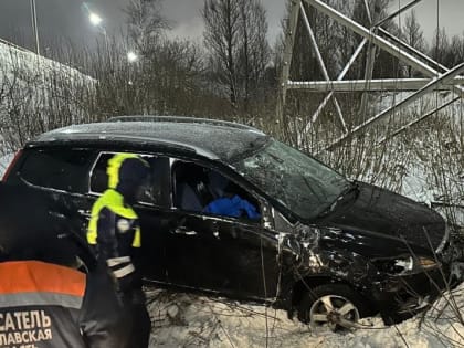 В Ярославле водитель погиб после съезда в кювет