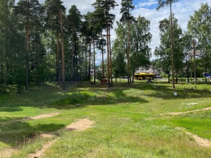 Велодорожка вокруг и масштабная чистка: жители Ярославля обсудили благоустройство Тверицкого бора