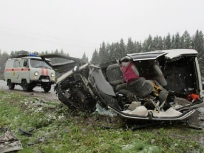 В ДТП в Ярославском районе погибли 2 человека