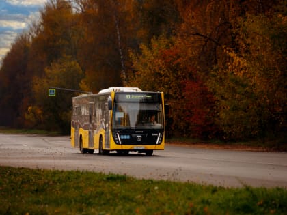В Ярославле увеличат количество рейсов на проблемном маршруте автобуса