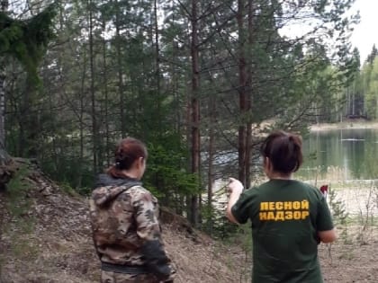 В Ярославской области введен противопожарный режим
