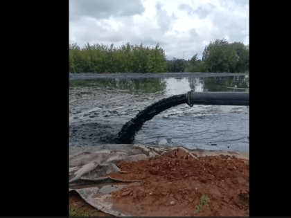 Глава Росприроднадзора пообещала наказать виновников сброса отходов в Которосль