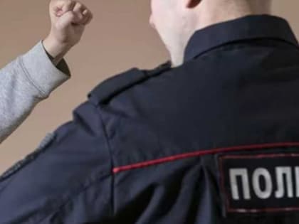 Житель Ярославля был осуждён за драку с полицейским