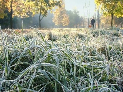 В Рыбинске ожидаются заморозки