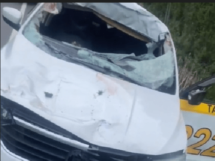 Таксист в Рыбинске госпитализирован после ДТП с лосем