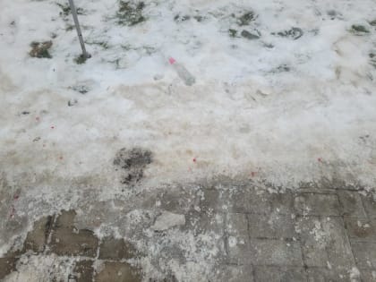 Полиция занялась дракой в ярославском элитном ЖК