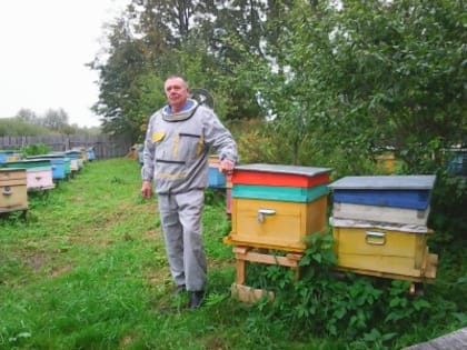 Пасека под охраной электропастуха
