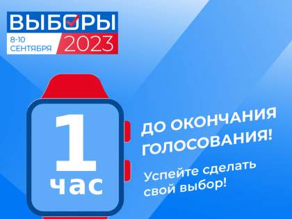 До закрытия участков остался один час