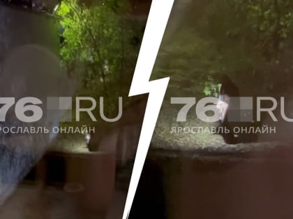 «Снял штаны и просил смотреть»: жителей Ярославля предупредили об эксгибиционисте, преследующем девушек