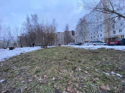 В Ярославле к воскресенью почти растает снег
