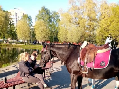 Ярославцы отказываются от прогулок в парке из-за запаха лошадиной мочи
