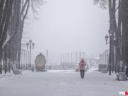 Конфликтный и не экологичный: ярославцы назвали главные минусы своего города