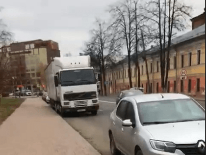 Проблемы с животными в Ярославле