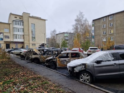 В Ярославле возбудили уголовное дело из-за массового автопожара