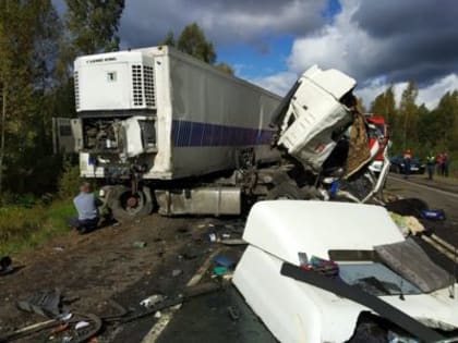 В Соловьевке остается женщина, пострадавшая в крупной аварии с автобусом и фурой в Ярославской области