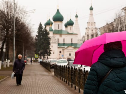 «Усиление ветра порывами»: в МЧС предупредили о надвигающейся на Ярославль непогоде