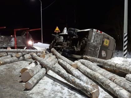 В Ярославской области виновник аварии с детской спортивной командой получил десять месяцев ограничения свободы