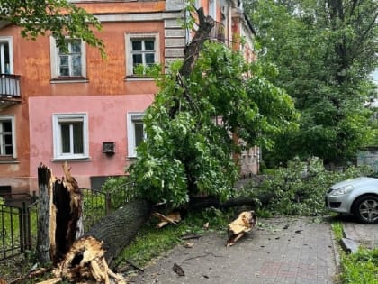 В Ярославле ночью устраняли последствия вчерашней грозы