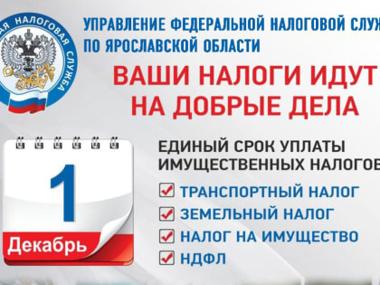 1 декабря - единый срок уплаты имущественных налогов!