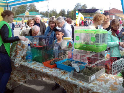 Станция юннатов на празднике «Урожай 2019»