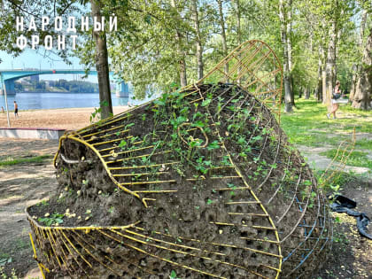 Ярославские общественники показали шокирующую клумбу