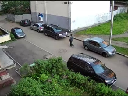 Полиция задержала вандала, повредившего машины в Ярославле