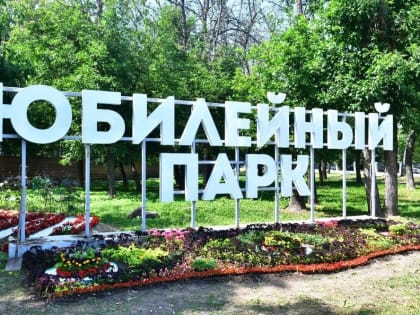 Мэр предложил молодоженам сажать деревья в парках Ярославля