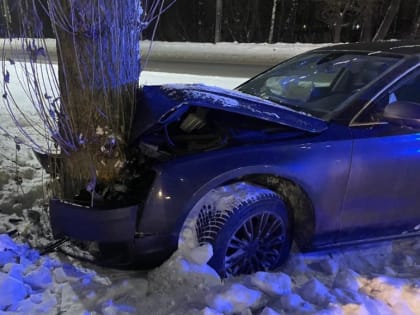 В Ярославле женщина и девочка пострадали в ДТП