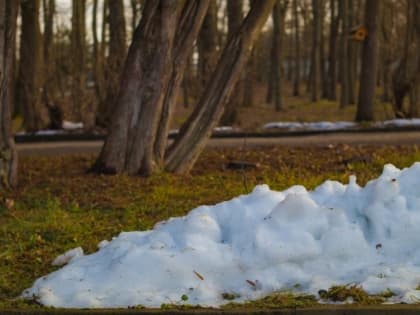 Впереди — потепление. Какой будет первая неделя апреля в Рыбинске?