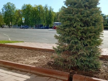 В Ярославле Советской площади больше не грозит подтопление
