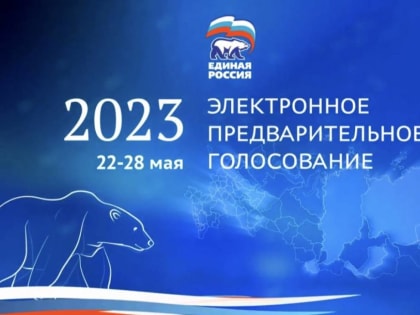 Стали известны итоги предварительного голосования в Ярославской области