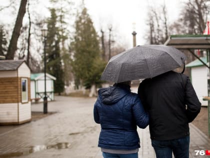 «Арктическое вторжение выходит на пик»: синоптики предупредили о заморозках в Центральной России
