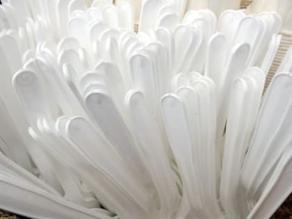 В Ярославской области в производство одноразовой посуды вложат 190 млн рублей