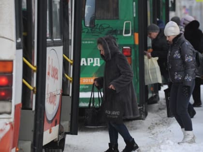 В Ярославле определились с половиной перевозчиков нового этапа транспортной реформы