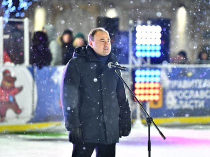 Мэр Ярославля высказался о безопасности в новогодние праздники