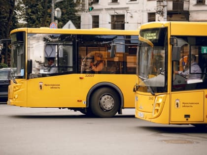 В Ярославле озвучили основные жалобы на работу общественного транспорта