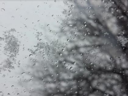 Мокрый снег, гололедица и сильный ветер: жителей Ярославской области предупредили о непогоде