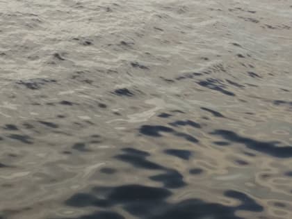 Из Которосли в Ярославле достали тело мужчины