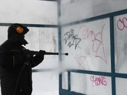 В Ярославле думают над покупкой термоочистителей для фасадов и дорог