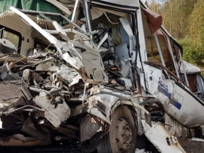 Стали известны данные о состоянии автобуса, пострадавшего в ДТП с грузовиком под Гаврилов-Ямом