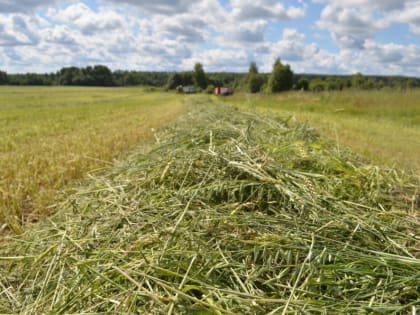 ​Ярославские аграрии заготовили около 700 тысяч тонн кормов