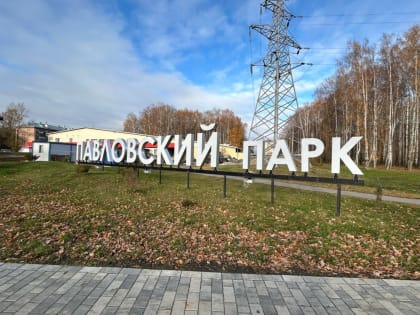 Осенний субботник в Ярославле: жители вместе очищают природу