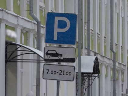 Мэр Ярославля поручил в течение месяца проработать схему платных парковок