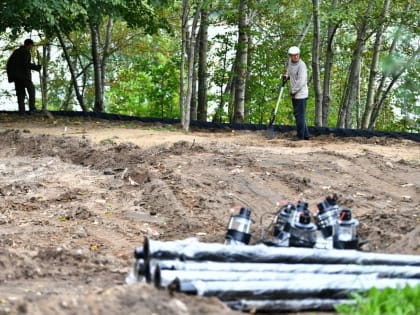 В Ярославле констатировали невысокую готовность Павловской рощи