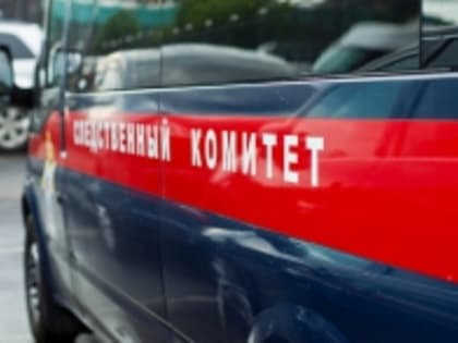 В Рыбинске следователями устанавливаются обстоятельства получения малолетним ребенком травм при опрокидывании батута