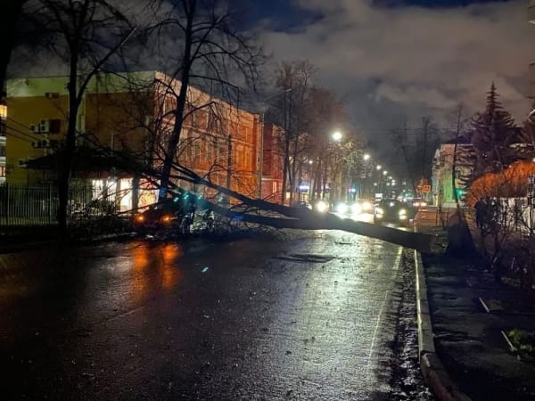 Упавшие деревья, остановки и заборы: в Ярославле ликвидируют последствия сильного ветра