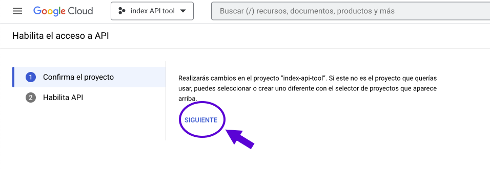 confirm project - enable API access
