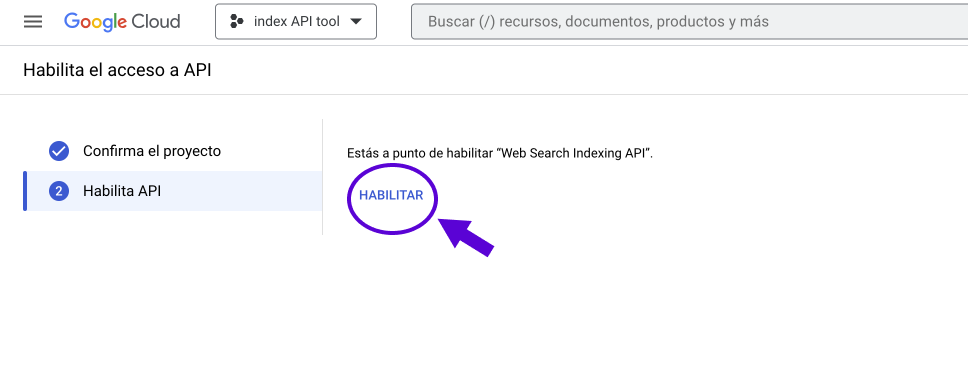 enable API access