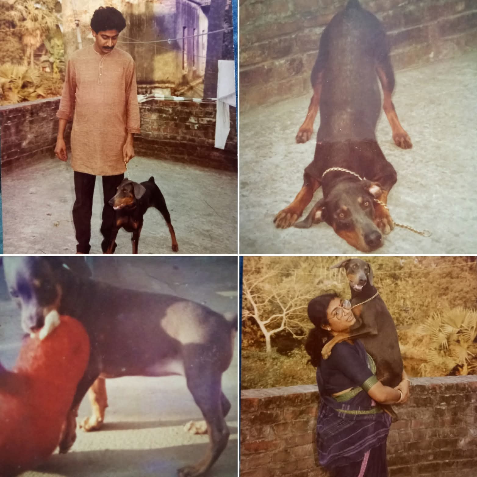 Friska - Our First Dog